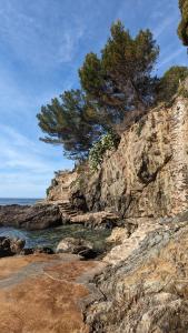 Hotels Hotel Le Provencal - Renove en 2025 - Bord de Mer : photos des chambres