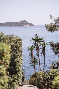 Hotels Hotel Le Provencal - Renove en 2025 - Bord de Mer : photos des chambres