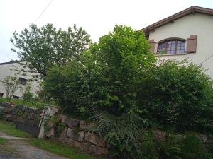 Maisons de vacances La vie a la campagne : photos des chambres
