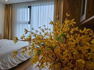 Căn studio view biển Hạ Long