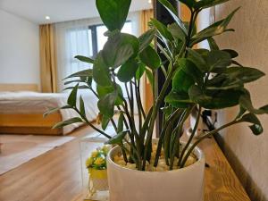 Căn studio view biển Hạ Long