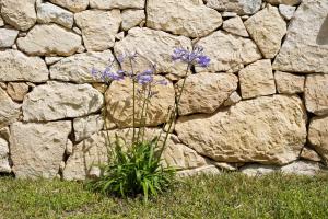 Talia chi Meravigghia