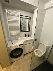 MANIU-APUSULUI Studio