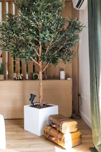 Appartements La Cachette des amoureux balneo en duo : photos des chambres