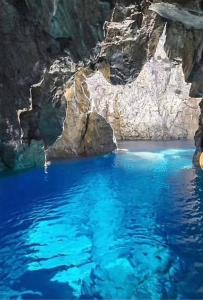 Hortensia Home img69