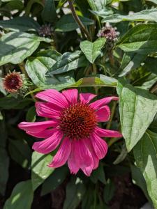 Vakantiehuis de Zeeuwse Zonnehoed