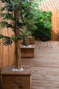 Appartements La Charmeuse, suite luxueuse romantique & spa : photos des chambres