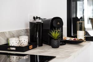 Appartements La Charmeuse, suite luxueuse romantique & spa : photos des chambres