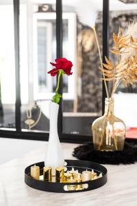 Appartements La Charmeuse, suite luxueuse romantique & spa : photos des chambres