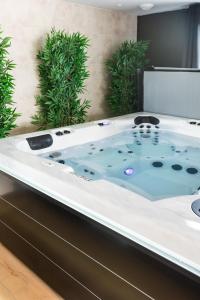 Appartements La Charmeuse, suite luxueuse romantique & spa : photos des chambres