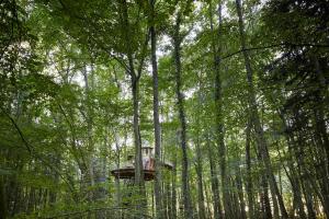 Lodges Cabanes de la Grande Noe : photos des chambres