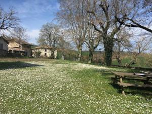 Maisons de vacances Stone house, terraced garden and pool : photos des chambres