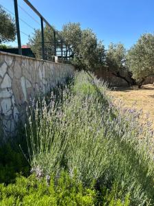 Villa in a quiet area - Private Pool - Sport - Starlink - BBQ