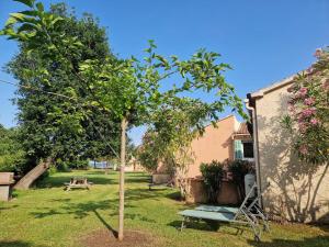 Villages vacances Pinea Mare : photos des chambres