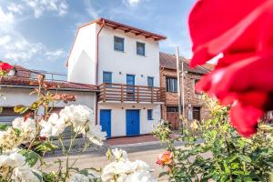 Modrý sklep 77 - 4hvězdičkové hotely ve městě Velké Pavlovice