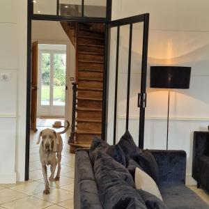 Villas Villa Rossa - Bord du lac - version XL : photos des chambres