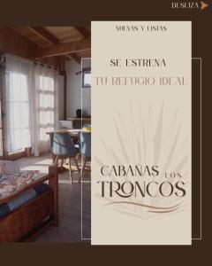 Surfing en Playa Las Salinas-Papudo