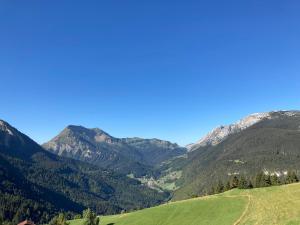 Chalets All-wood chalet in Haute-Savoie : photos des chambres