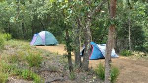 CAMPING Pleine Nature