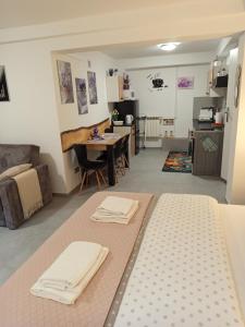 Mieszkanie do wynajęcia w Centrum