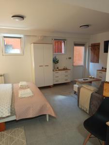 Mieszkanie do wynajęcia w Centrum