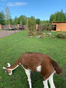 Skliausčių laisvalaikio centras