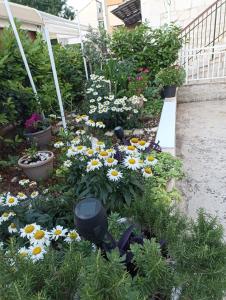 Jasnas Old Town Apartment