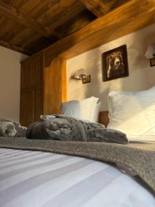 Superior Double or Twin Room with Mountain View room in Bel'alpe