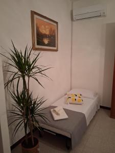 Lemon Garden Home