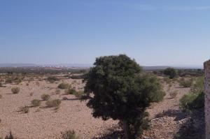 Sidi Kaouki Beach Surfers Paradise