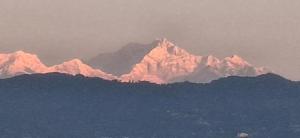 The Mystic Cabin Homestay - Ubytování bez kategorie ve městě Mangpu