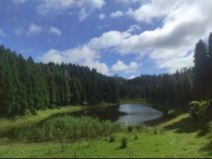 The Mystic Cabin Homestay