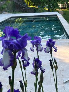 Maisons d'hotes Les Dames de Saint Florent : photos des chambres
