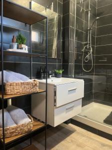 Appartements L-Echappee Belle Amandinoise : photos des chambres