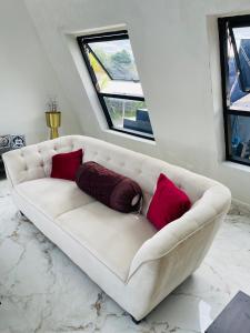 The A-Frame house