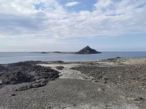 Appartements Charmant appartement vue sur le port de Dahouet : photos des chambres