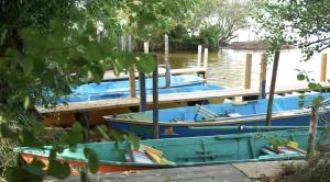 Appartements Cocoon Albatros, Golf view, pool, pine trees and ocean : photos des chambres