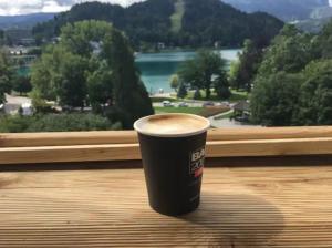 Lake and Castle view apartment