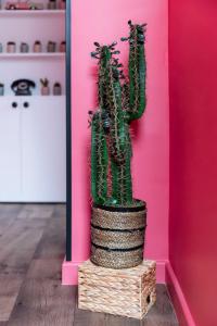 Appartements La Caliente love room glamour balneo en duo : photos des chambres