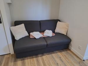 Appartements Studio lumineux 2 pers Olivet Avenue Loiret : photos des chambres