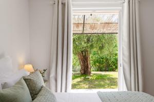 Villas Domaine Ousta Baio : photos des chambres