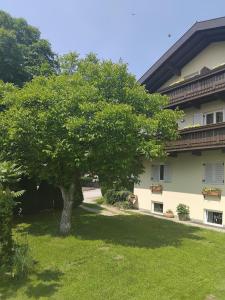 Garni Hattlerhof B&B