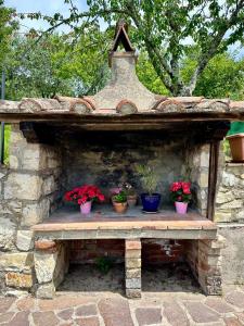 Agriturismo Tassinaia