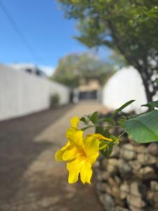 Villa Soleil Peaceful Retreat near Flic en Flac