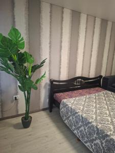 2-х комнатная Квартира возле Солнечной галлереи