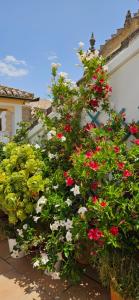 Apartamentos Los Descalzos Ángel With Private Terrace Free Parking