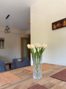Apartment #2