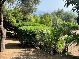villa vue mer avec piscine et jardin arboré