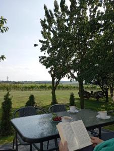 Domki w Winnicy - Świętokrzyska Winnica Knapów