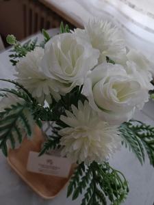 Freude Unterkunft Basel